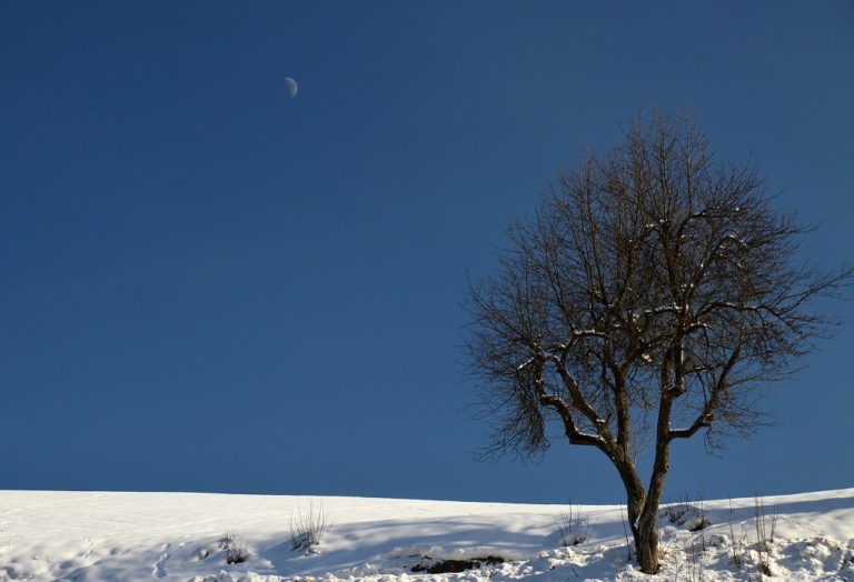 22. januar 2021