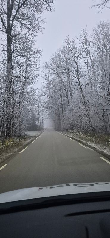 5. januar 2025