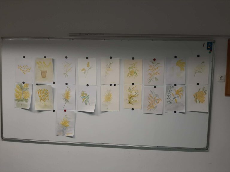 🌼 Mimoza, hitrost in nelagodje